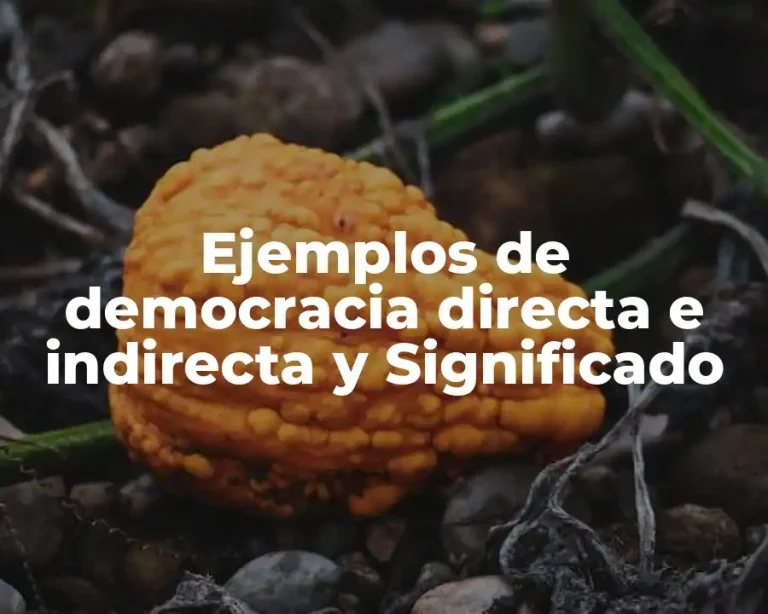 Ejemplos de democracia directa e indirecta y Significado