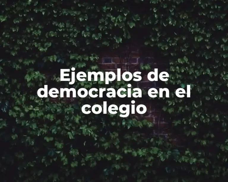 Ejemplos de democracia en el colegio
