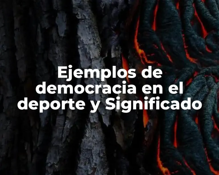 Ejemplos de democracia en el deporte y Significado