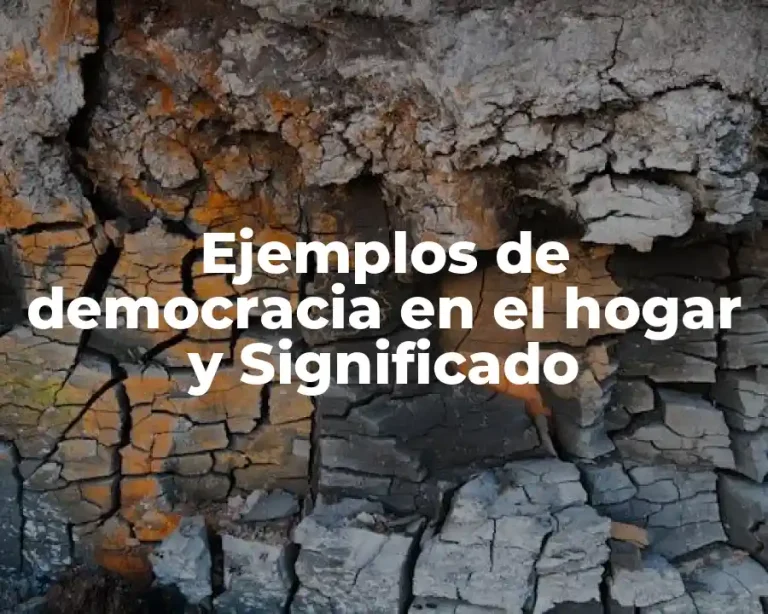 Ejemplos de democracia en el hogar y Significado