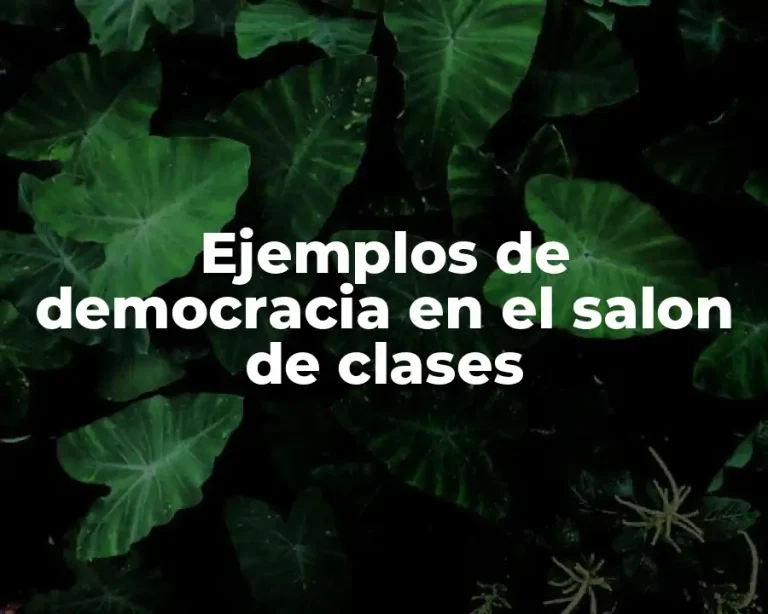Ejemplos de democracia en el salon de clases