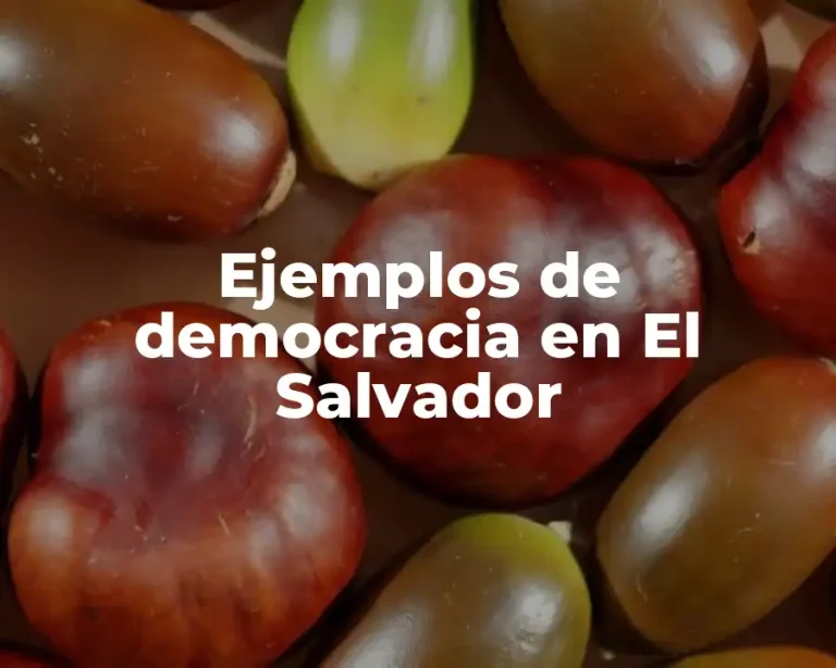 Ejemplos de democracia en El Salvador