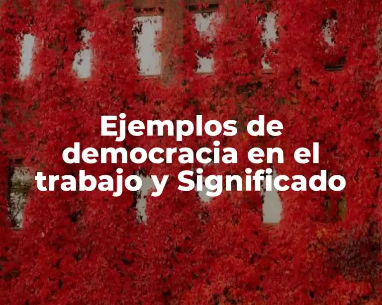 Ejemplos de democracia en el trabajo y Significado