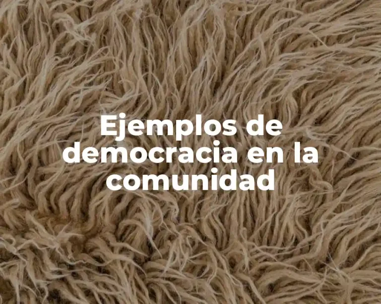 Ejemplos de democracia en la comunidad