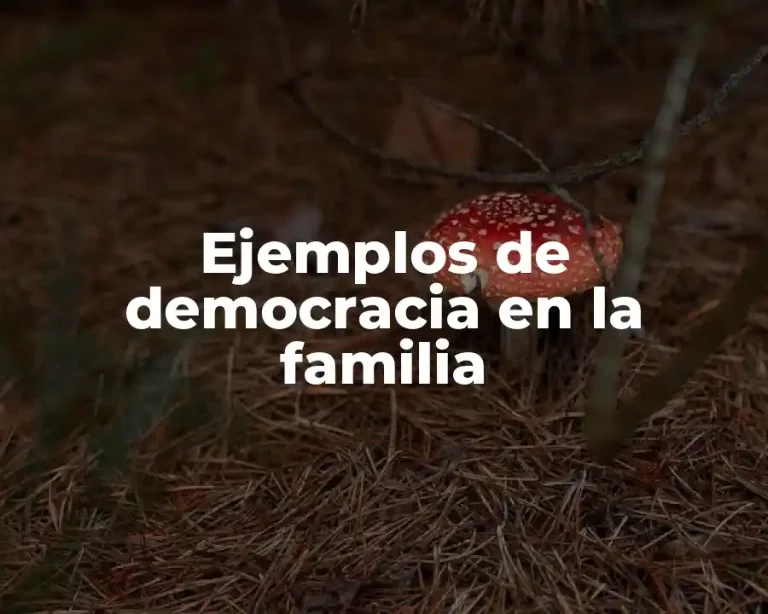 Ejemplos de democracia en la familia