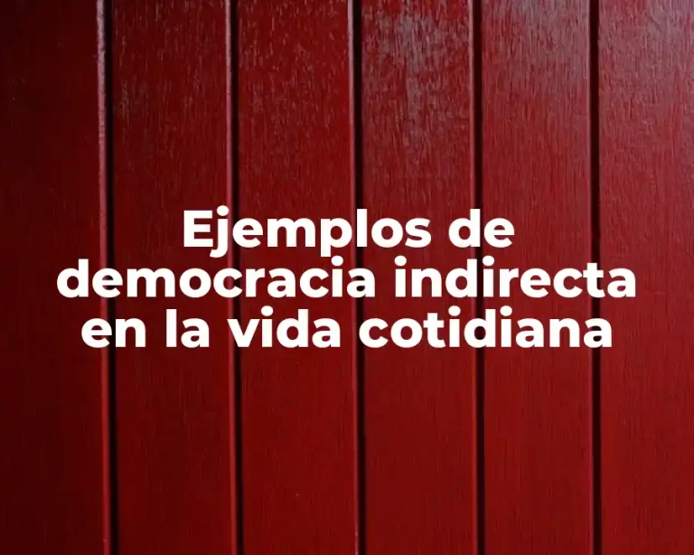 Ejemplos de democracia indirecta en la vida cotidiana