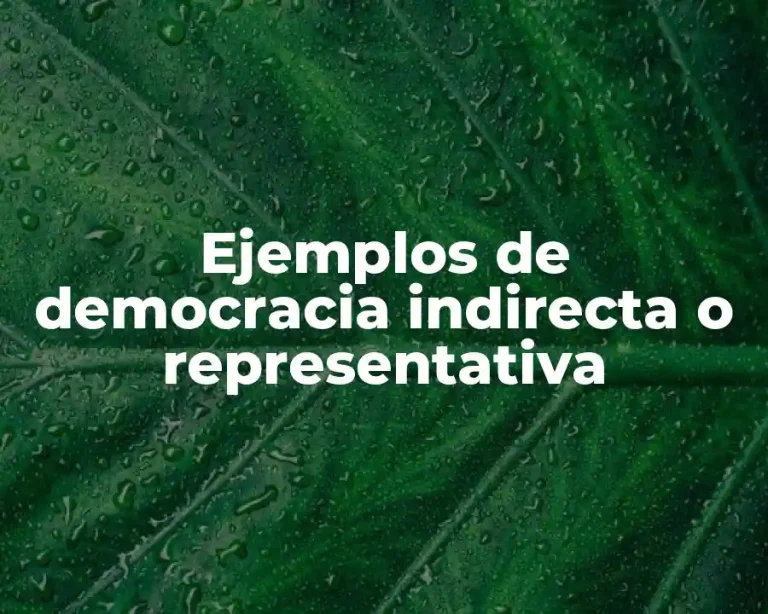 Ejemplos de democracia indirecta o representativa