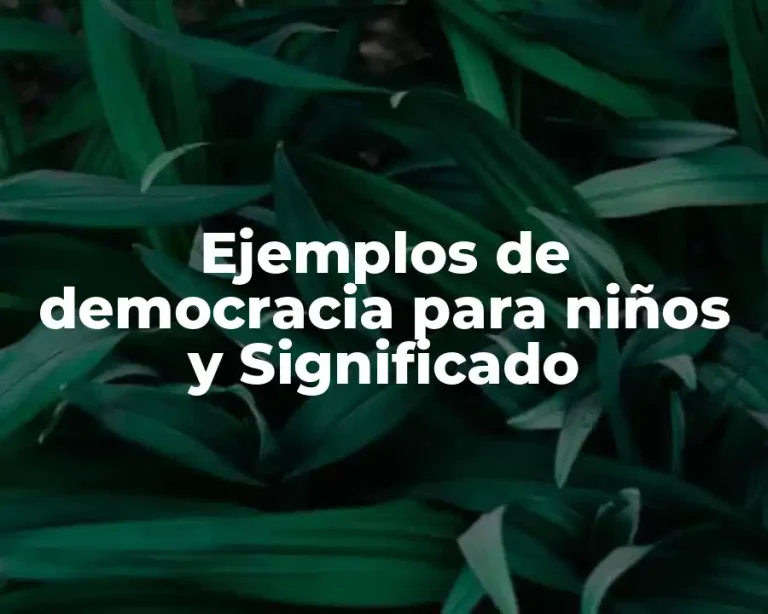 Ejemplos de democracia para niños y Significado