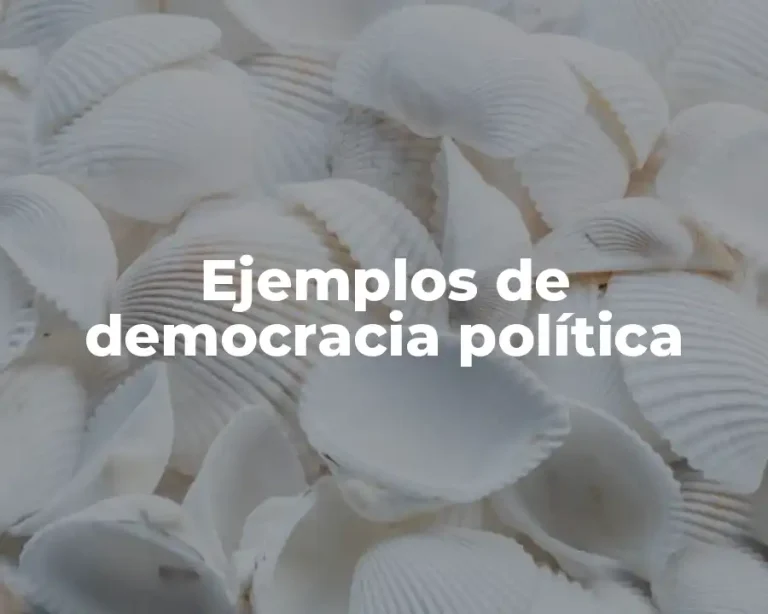 Ejemplos de democracia política