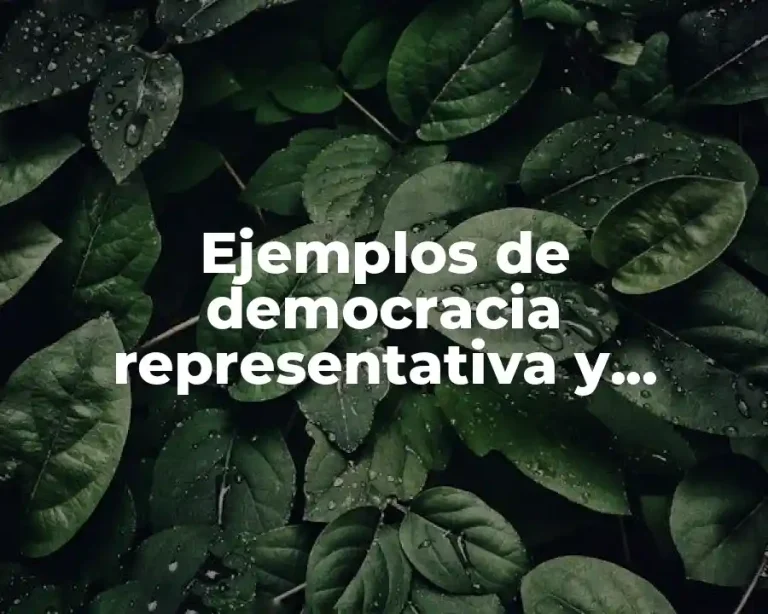 Ejemplos de democracia representativa y Significado