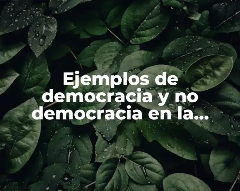 Ejemplos de democracia y no democracia en la familia