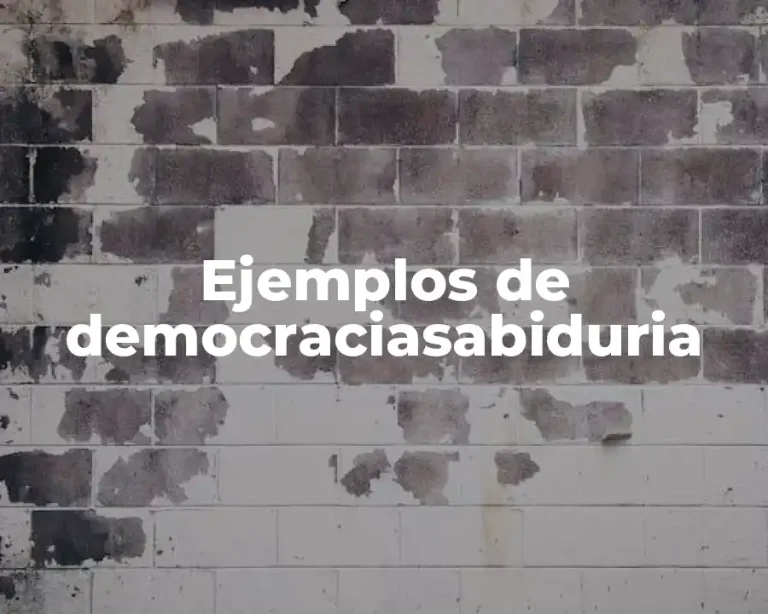 Ejemplos de democraciasabiduria