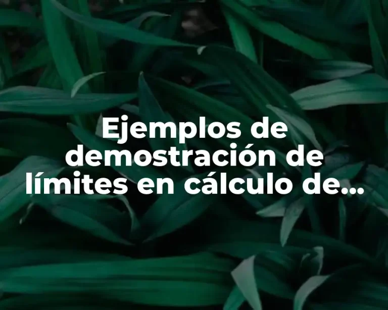 Ejemplos de demostración de límites en cálculo de varas