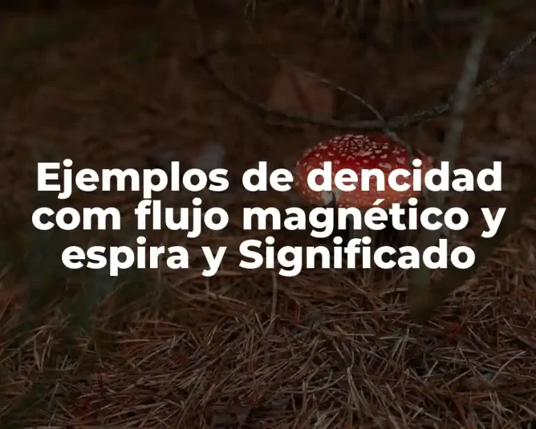 Ejemplos de dencidad com flujo magnético y espira y Significado