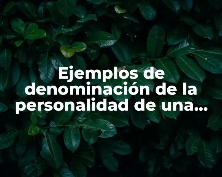 Ejemplos de denominación de la personalidad de una marca