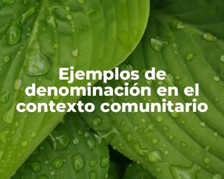 Ejemplos de denominación en el contexto comunitario