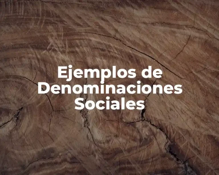Ejemplos de Denominaciones Sociales