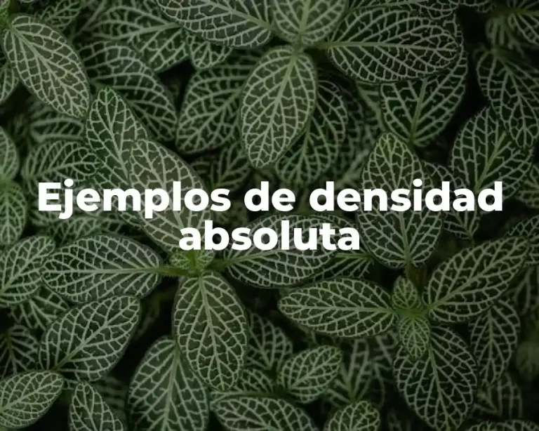 Ejemplos de densidad absoluta