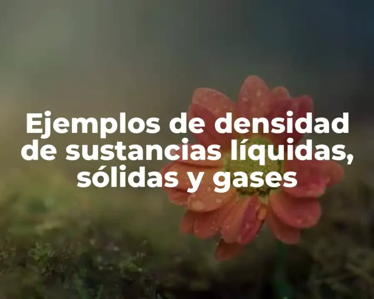 Ejemplos de densidad de sustancias líquidas, sólidas y gases