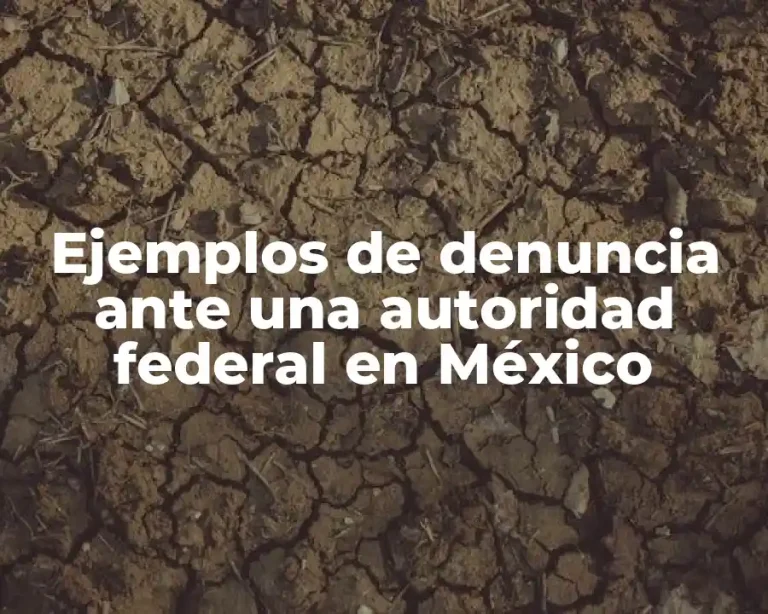 Ejemplos de denuncia ante una autoridad federal en México