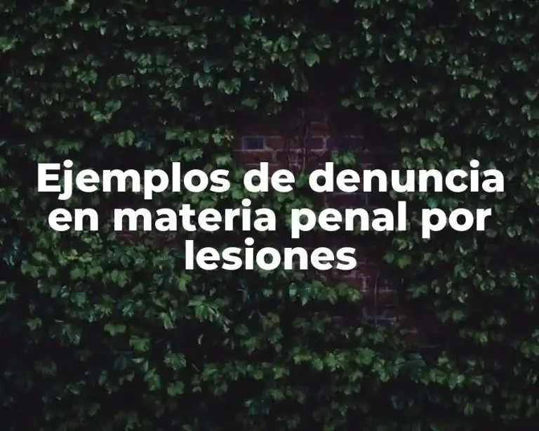 Ejemplos de denuncia en materia penal por lesiones