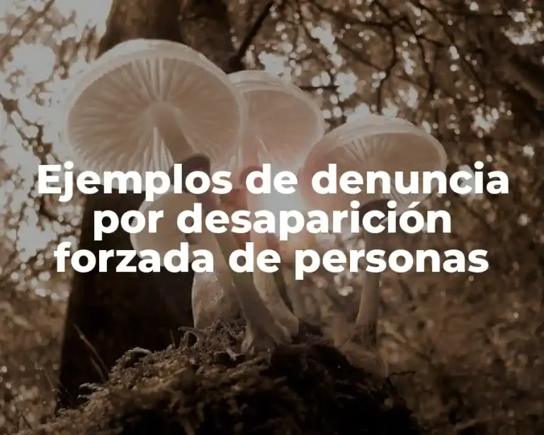 Ejemplos de denuncia por desaparición forzada de personas