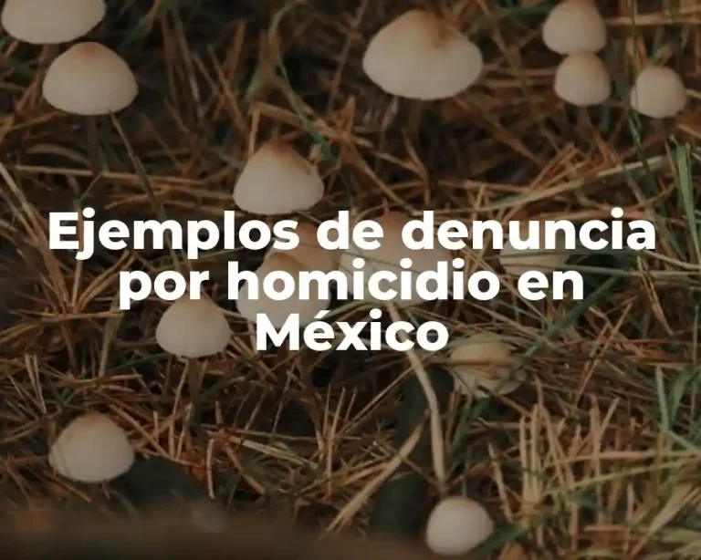 Ejemplos de denuncia por homicidio en México