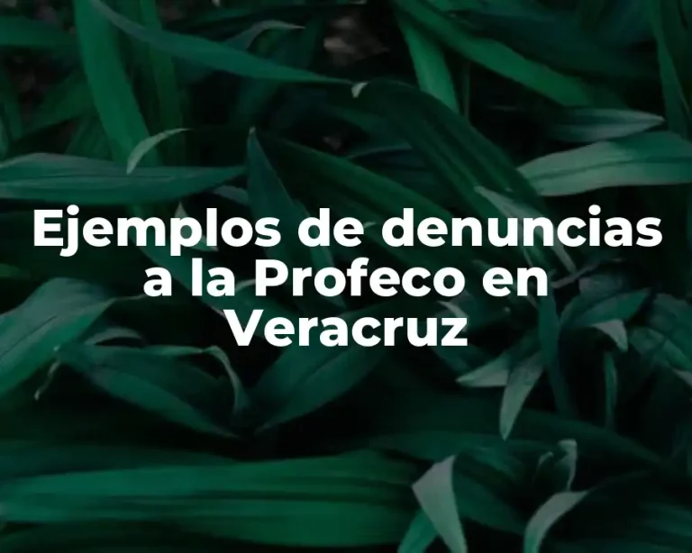 Ejemplos de denuncias a la Profeco en Veracruz