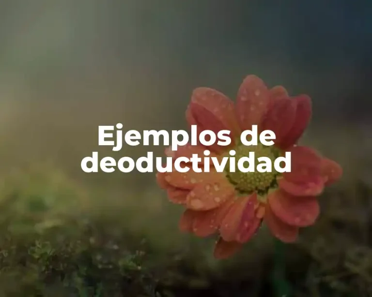 Ejemplos de deoductividad