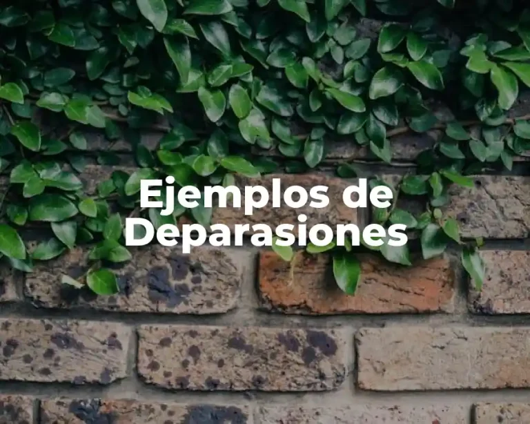 Ejemplos de Deparasiones
