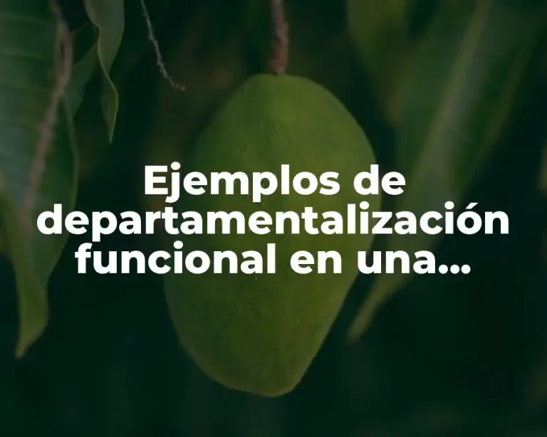 Ejemplos de departamentalización funcional en una empresa en producción agrícola y Significado