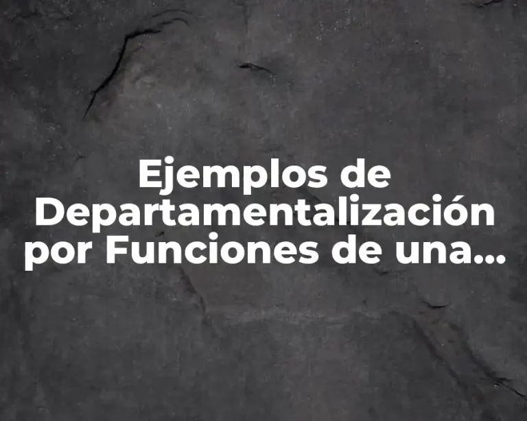 Ejemplos de Departamentalización por Funciones de una Empresa