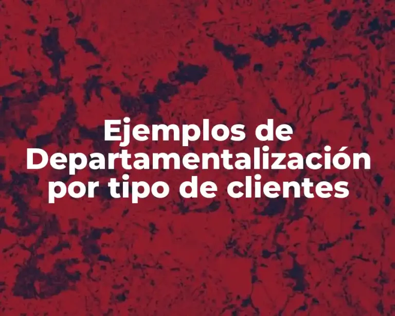 Ejemplos de Departamentalización por tipo de clientes