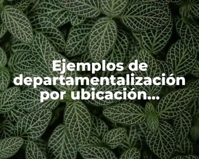 Ejemplos de departamentalización por ubicación geográfica