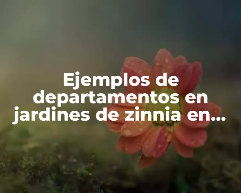 Ejemplos de departamentos en jardines de zinnia en Chilpancingo