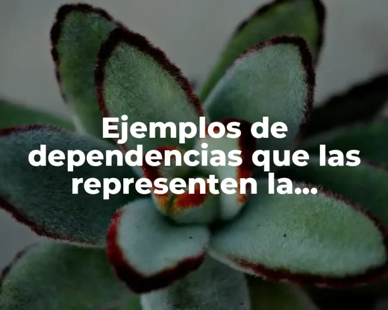 Ejemplos de dependencias que las representen la administración paraestatal
