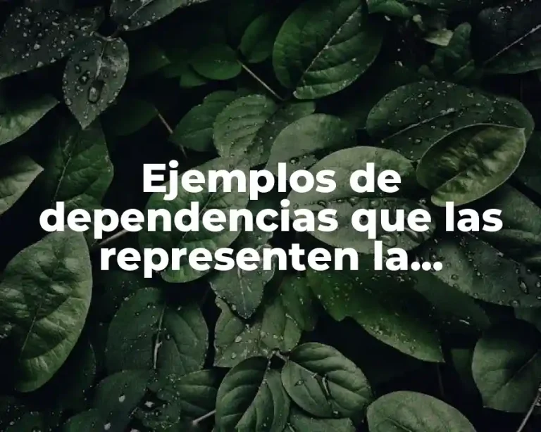 Ejemplos de dependencias que las representen la desconcentración