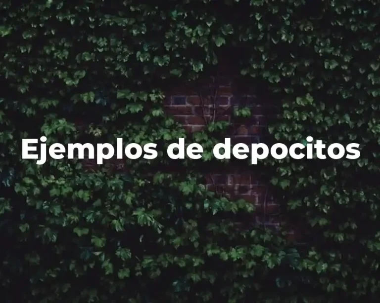 Ejemplos de depocitos