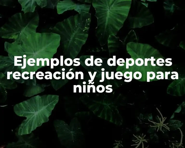 Ejemplos de deportes recreación y juego para niños