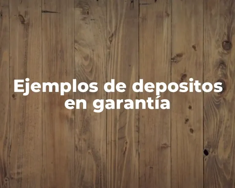 Ejemplos de depositos en garantía