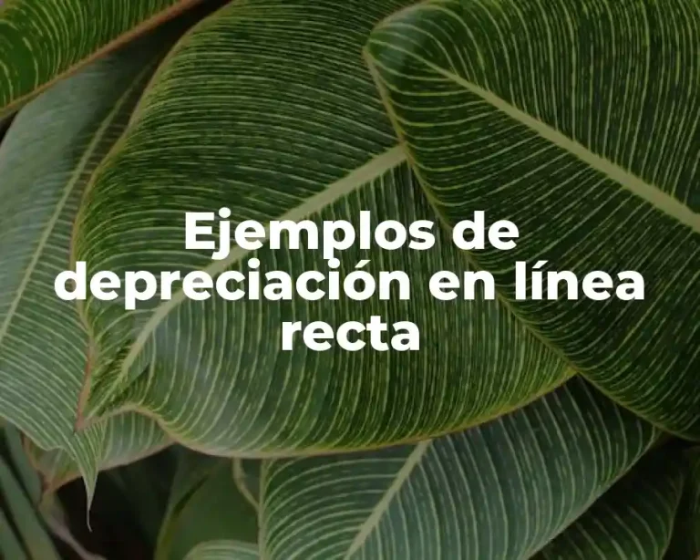 Ejemplos de depreciación en línea recta