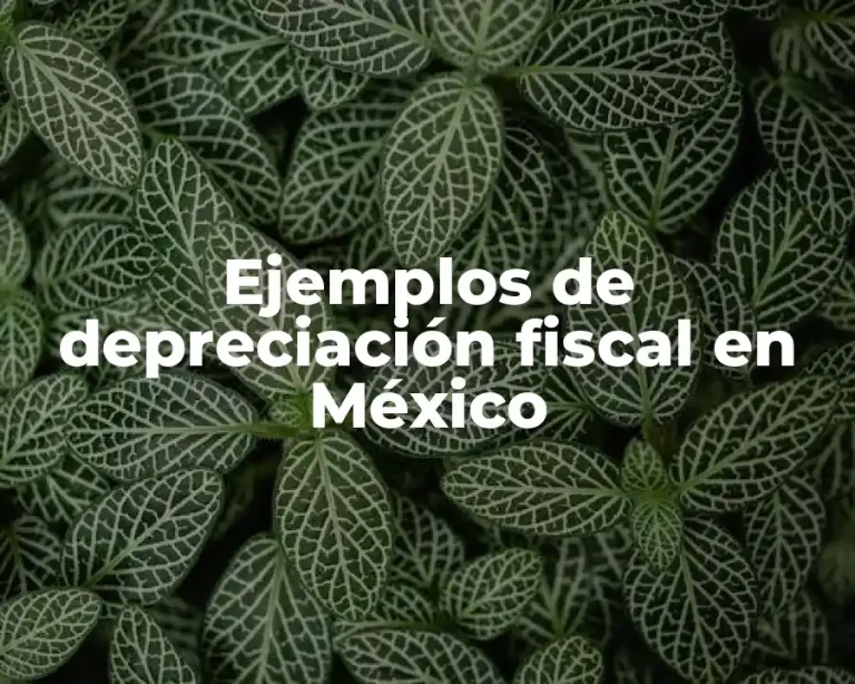 Ejemplos de depreciación fiscal en México