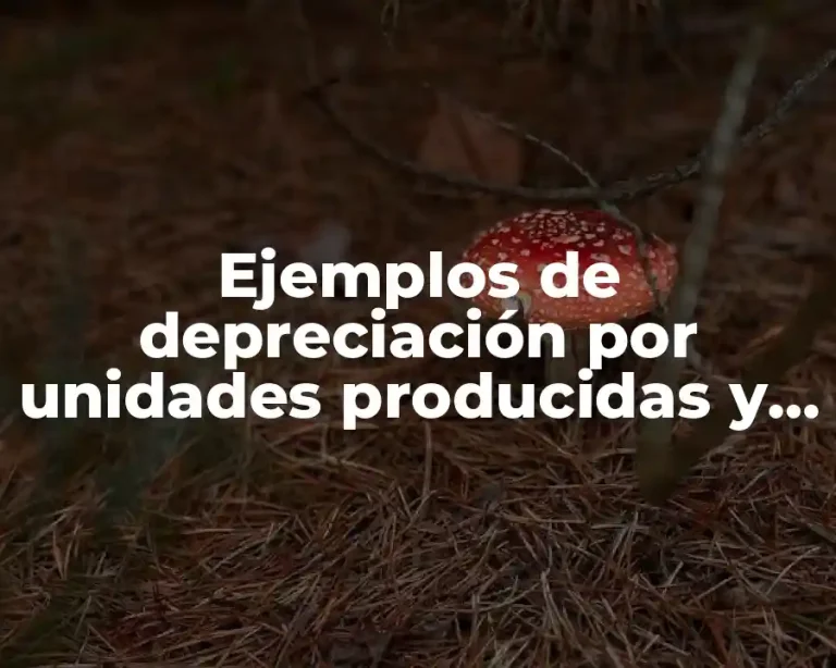 Ejemplos de depreciación por unidades producidas y Significado