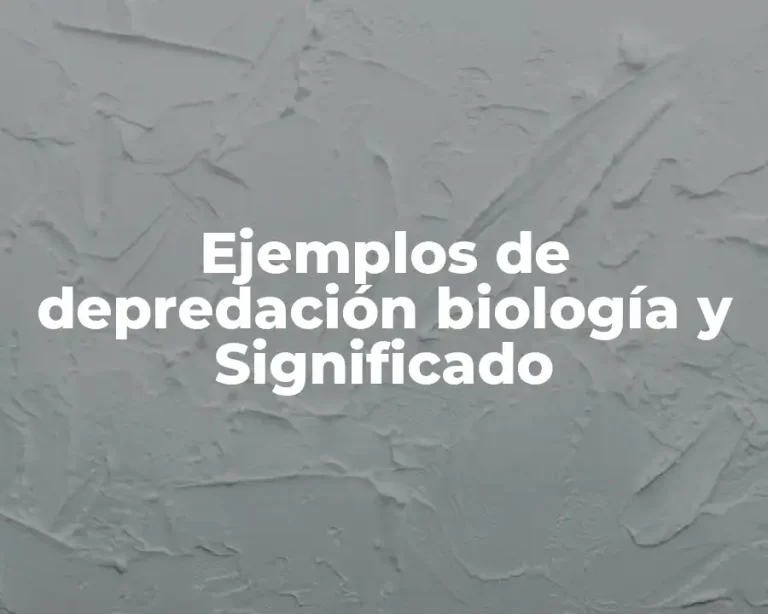 Ejemplos de depredación biología y Significado