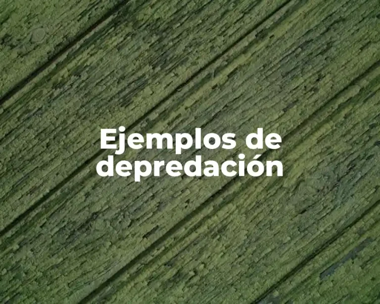 Ejemplos de depredación
