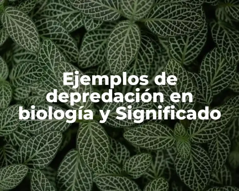 Ejemplos de depredación en biología y Significado