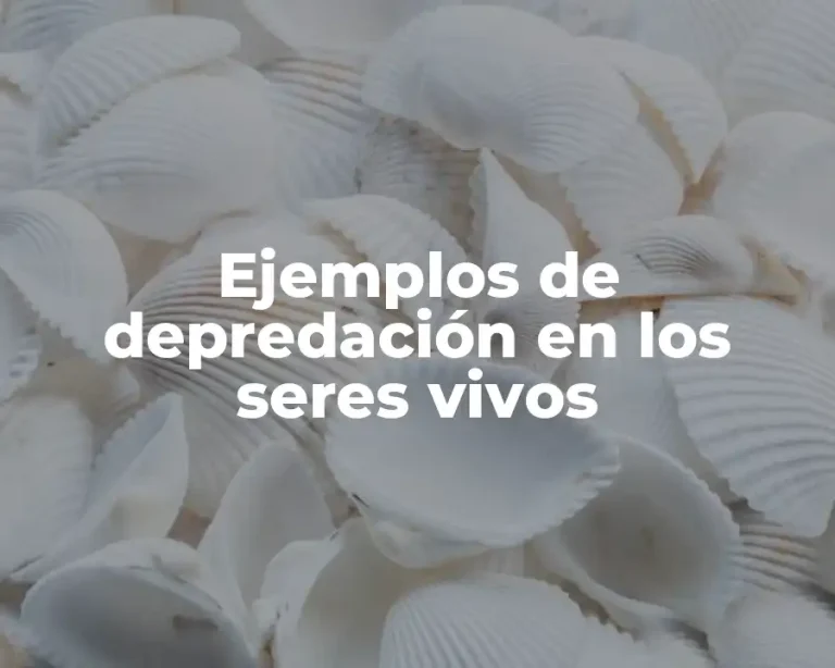 Ejemplos de depredación en los seres vivos