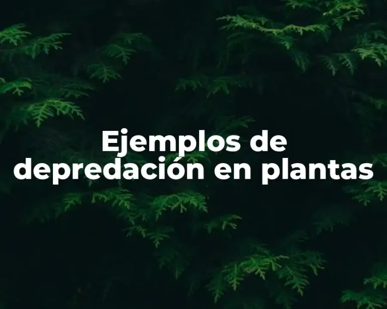 Ejemplos de depredación en plantas