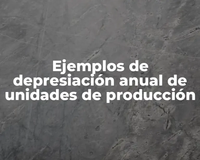 Ejemplos de depresiación anual de unidades de producción