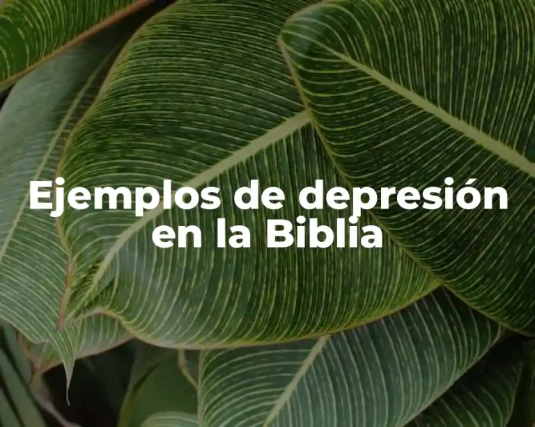 Ejemplos de depresión en la Biblia